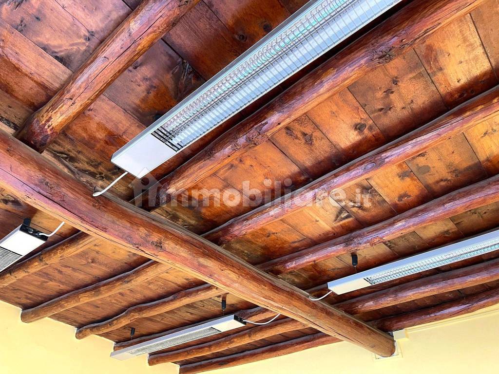 Particolare soffitto