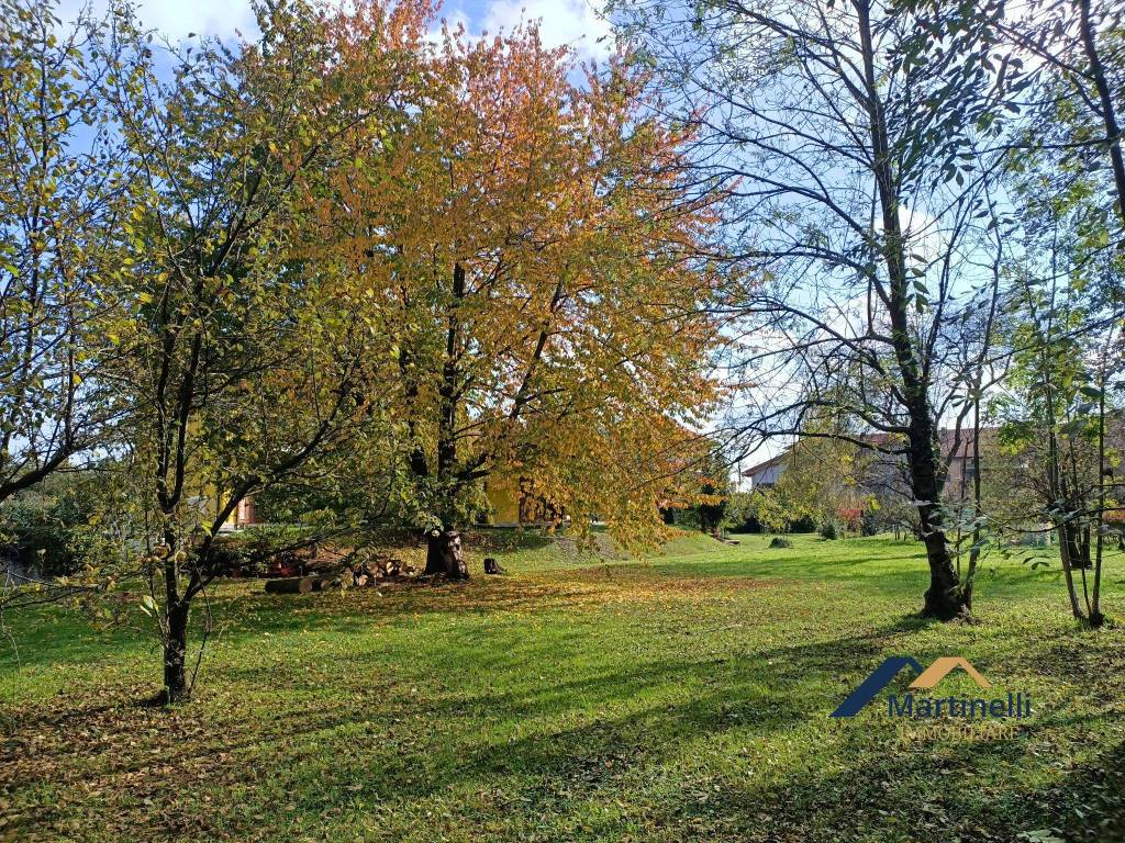 Vista dal terreno