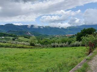 vista tenuta