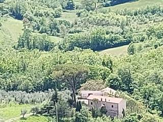 vista tenuta