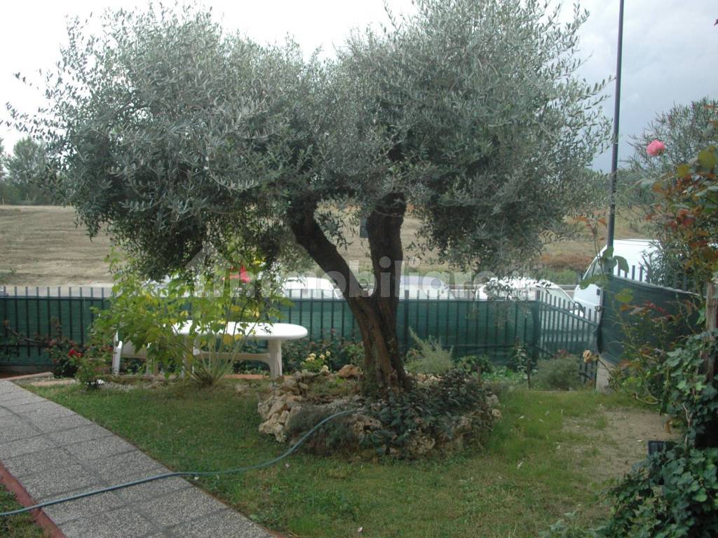 GIARDINO ARBOREO