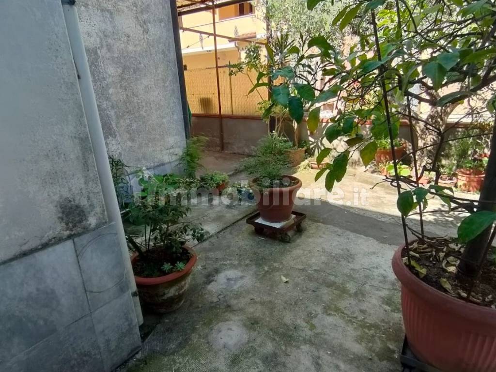 giardino