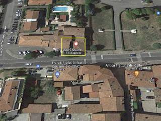 Zona