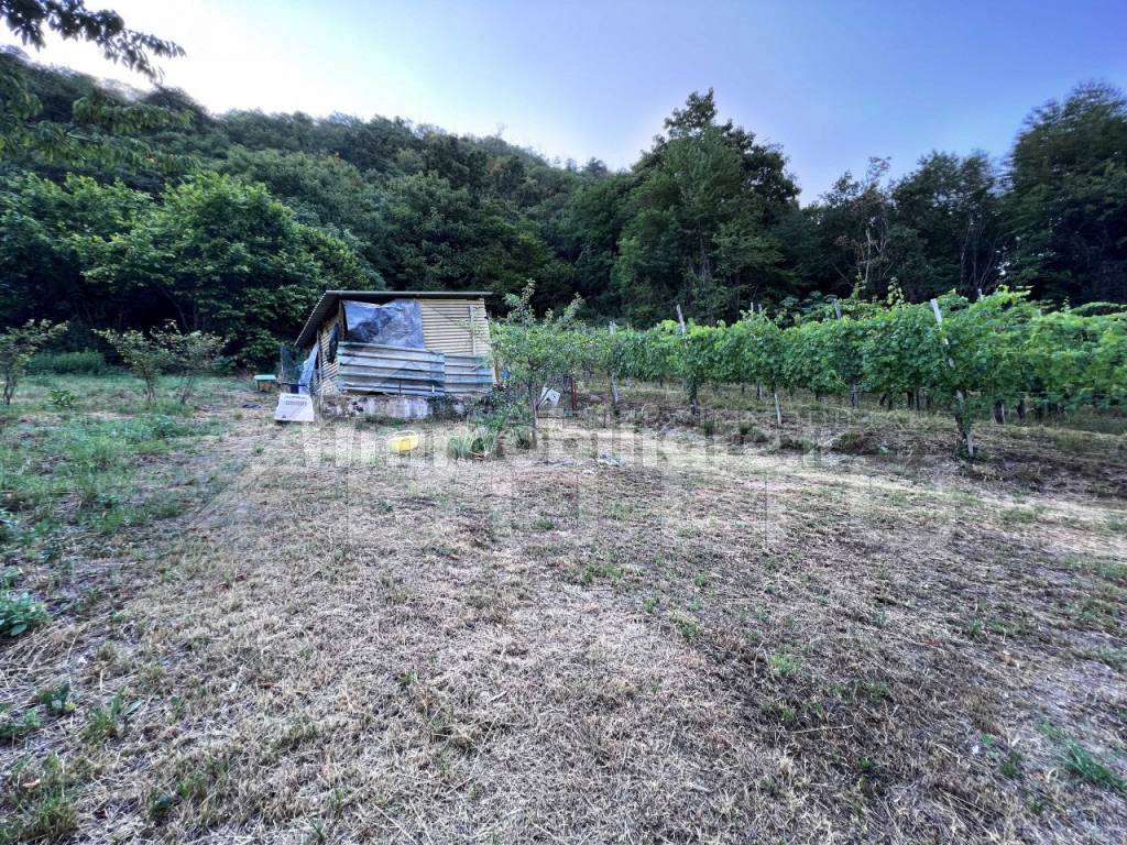 appartamento vendita gattinara giardino