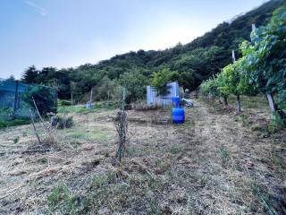 appartamento vendita gattinara giardino1