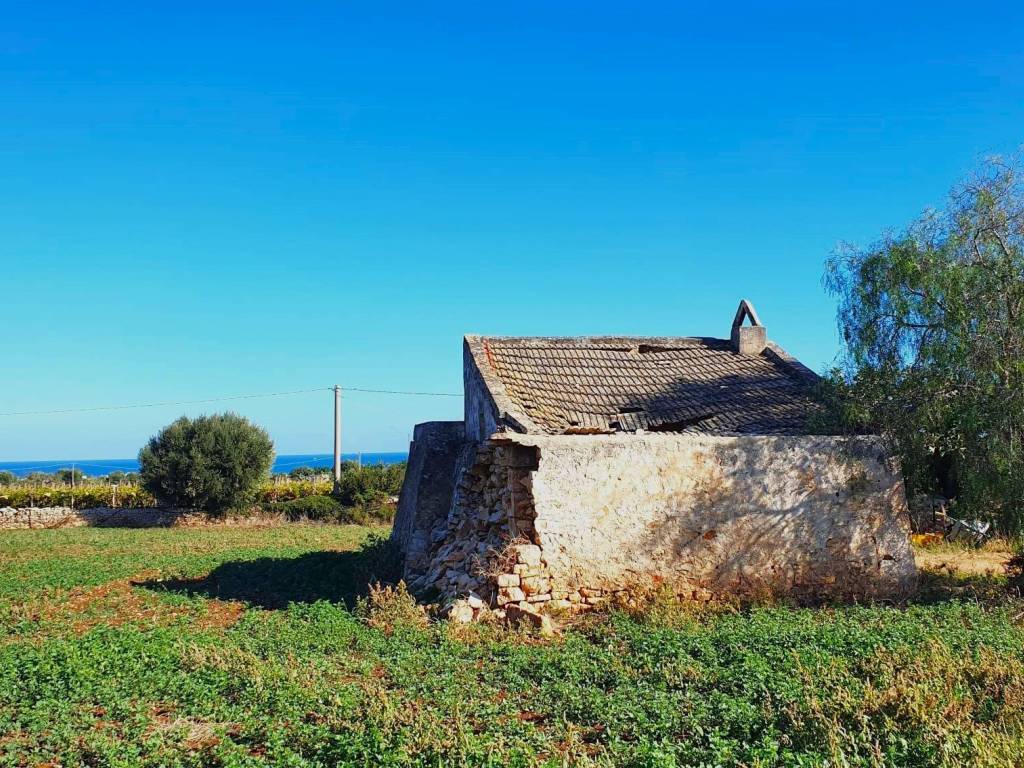 terreno con fabbricato