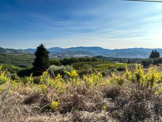 Campagna toscana