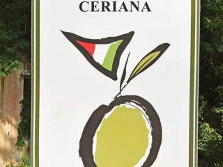 Ceriana-Liguria-villa-for-sale-le-45083-105