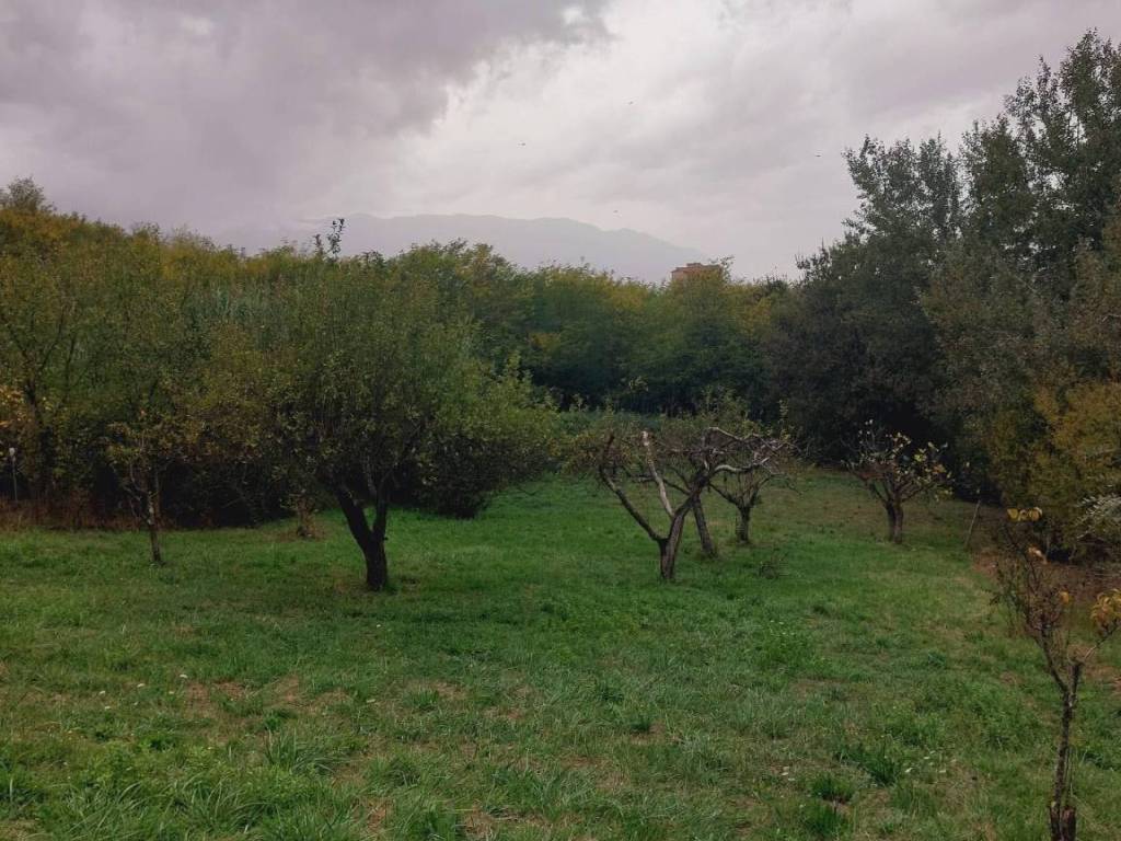 terreno
