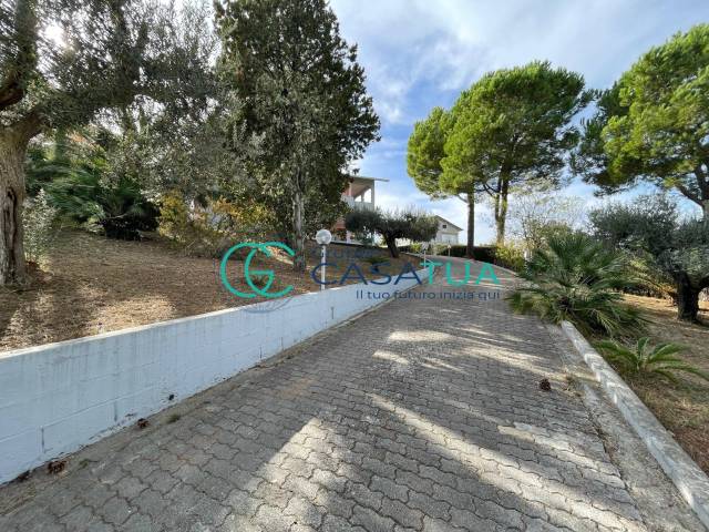 Viale di entrata