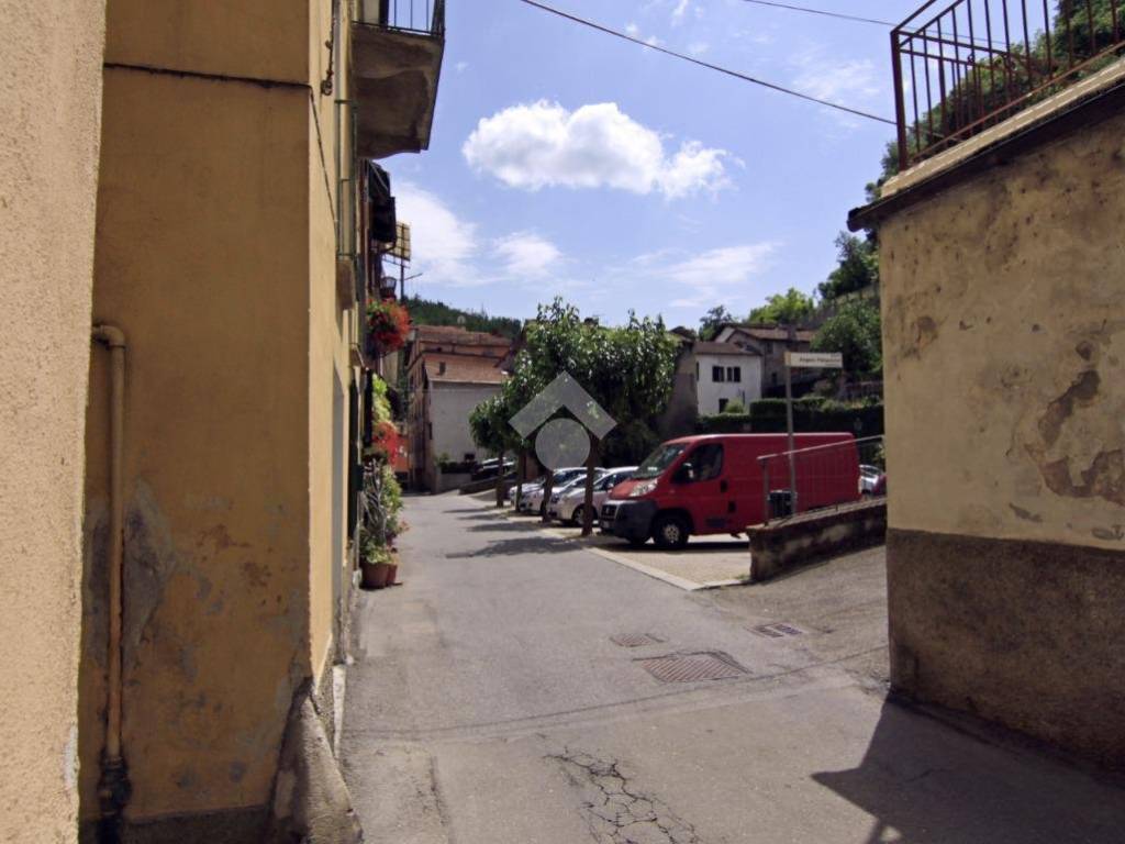 Zona