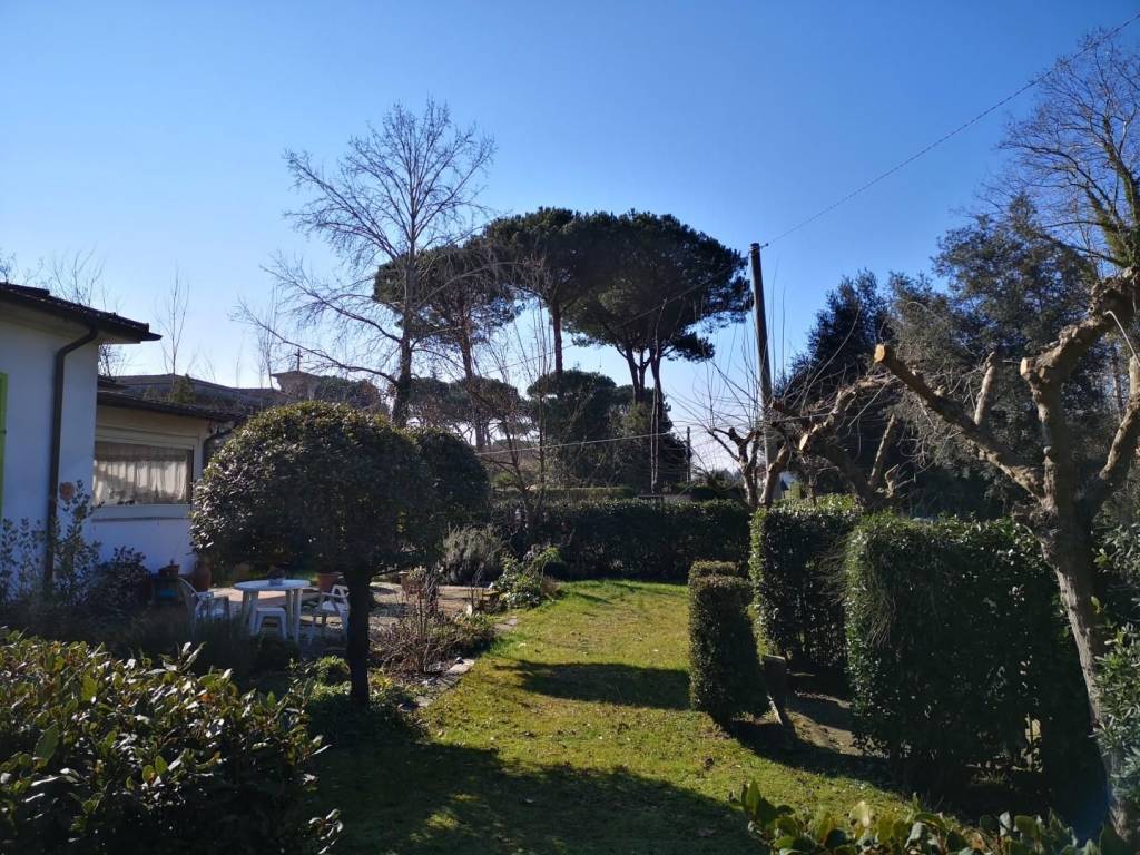 giardino