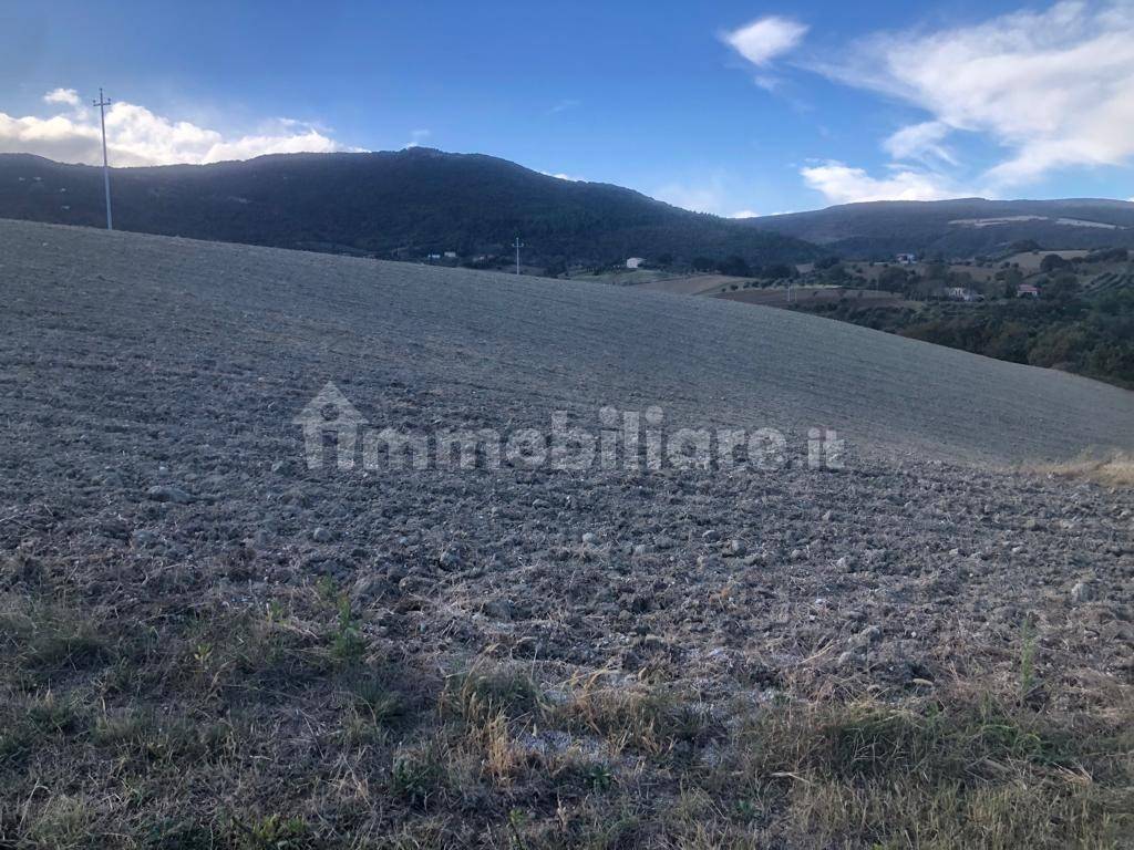 Terreno Agricolo Contrada San Lorenzo Treia Rif 107375635 Terreno Agricolo Contrada San Lorenzo Treia Rif 107375635