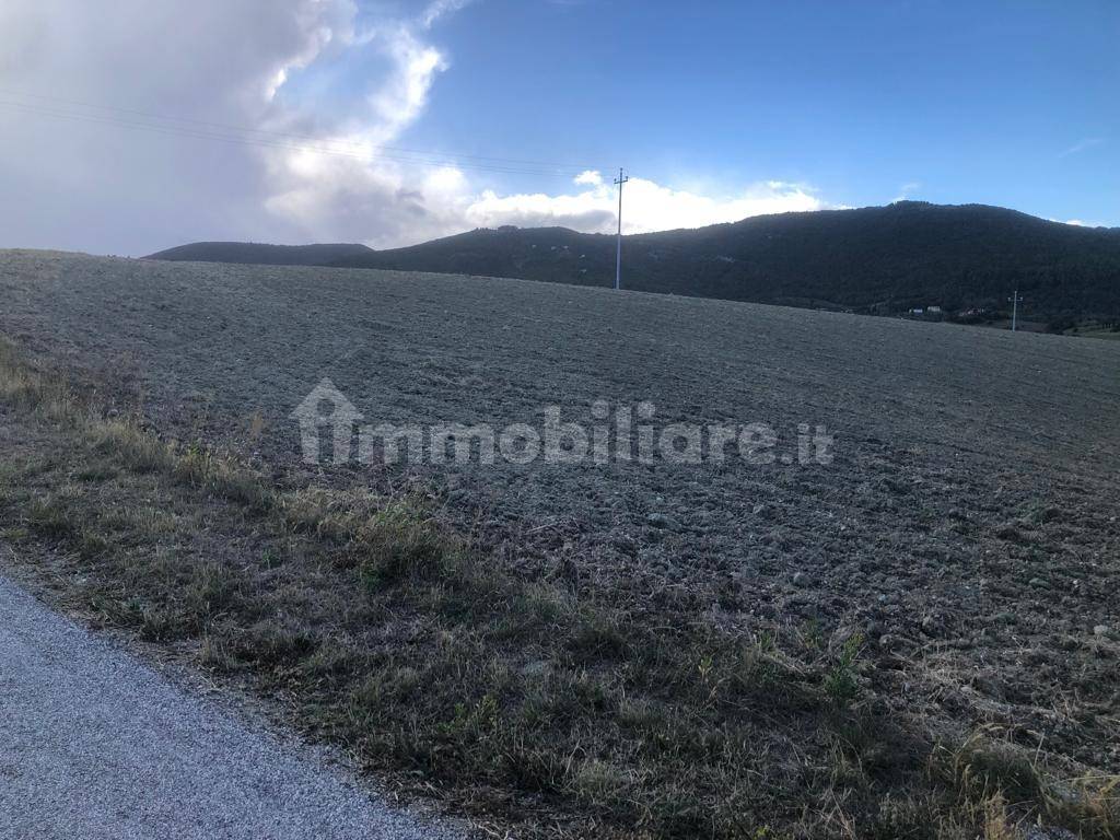 Terreno Agricolo Contrada San Lorenzo Treia Rif 107375635 Terreno Agricolo Contrada San Lorenzo Treia Rif 107375635