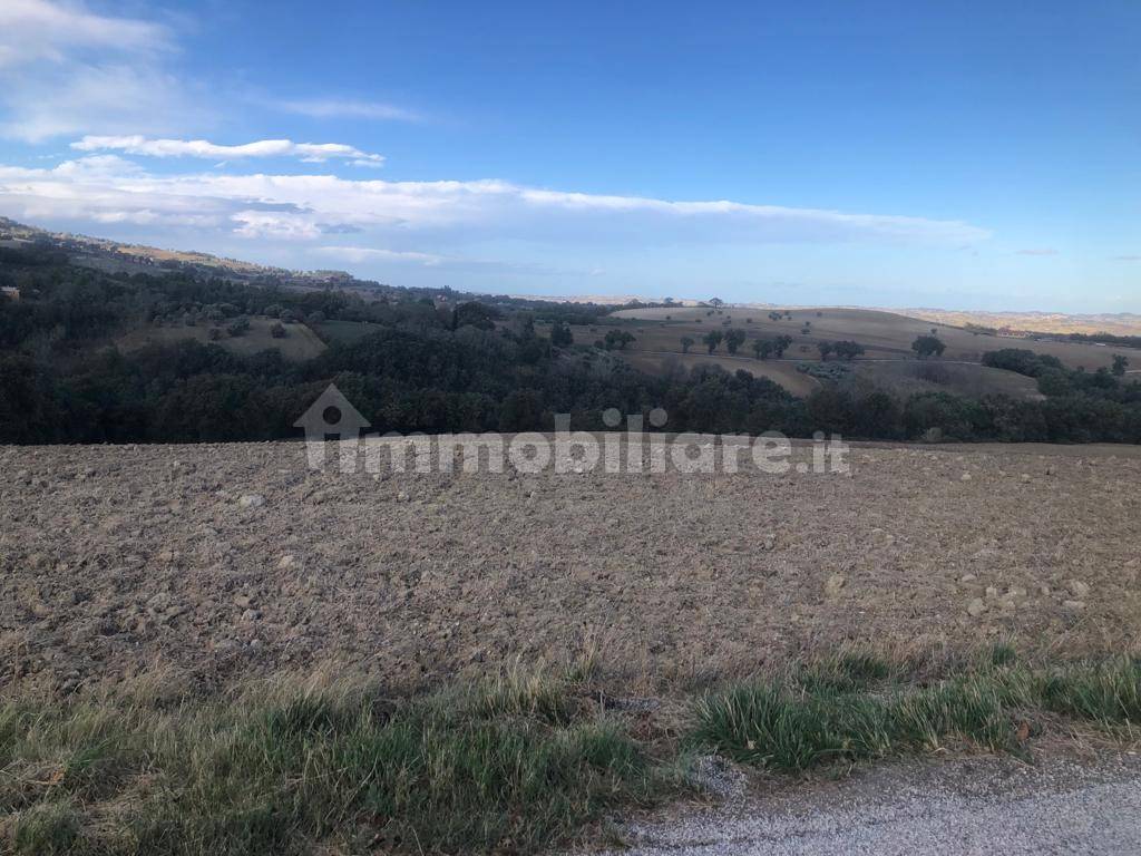 Terreno Agricolo Contrada San Lorenzo Treia Rif 107375635 Terreno Agricolo Contrada San Lorenzo Treia Rif 107375635