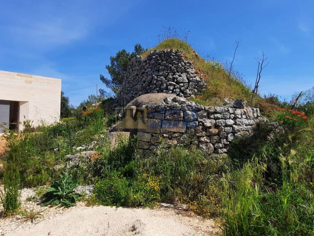 Villa al grezzo con piscina