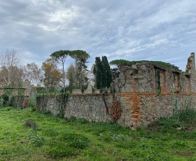 Capannone via aurelia, donoratico, castagneto carducci