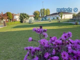 whatsapp image 2021 10 18 at 16 30 57  1