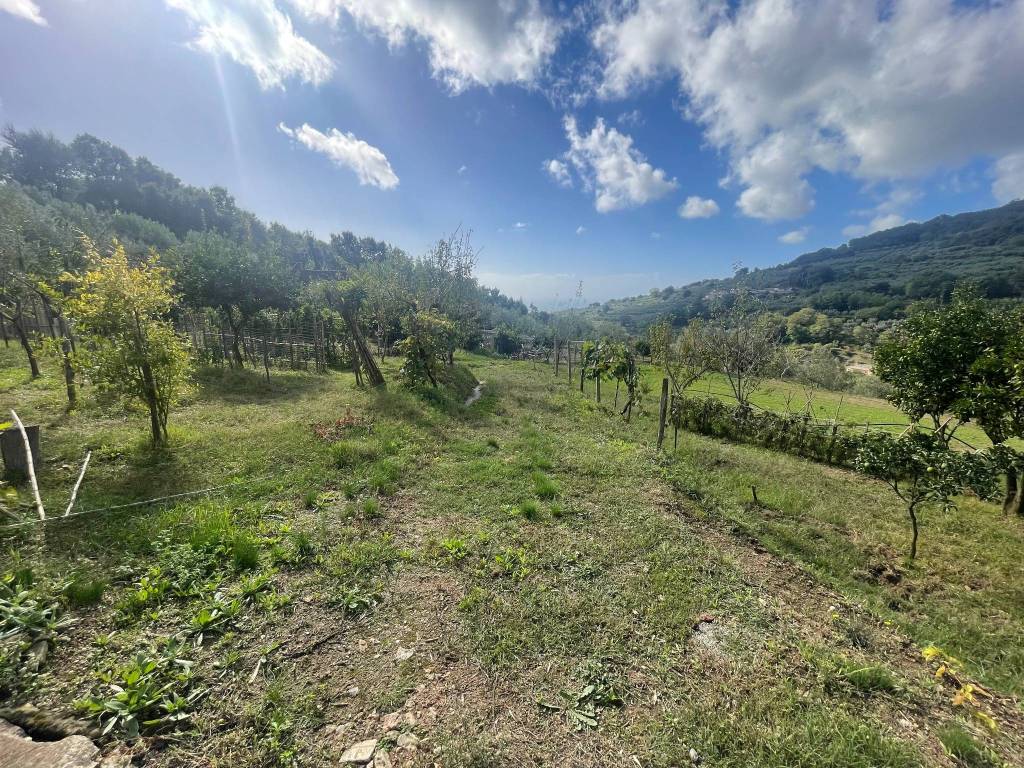 Terreno agricolo contrada muretto, lamezia terme