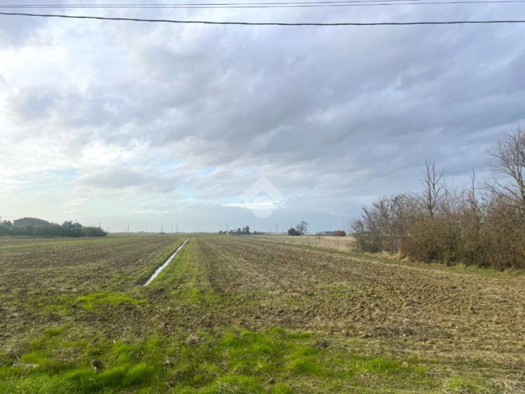 Terreno agricolo via della marginata, collesalvetti