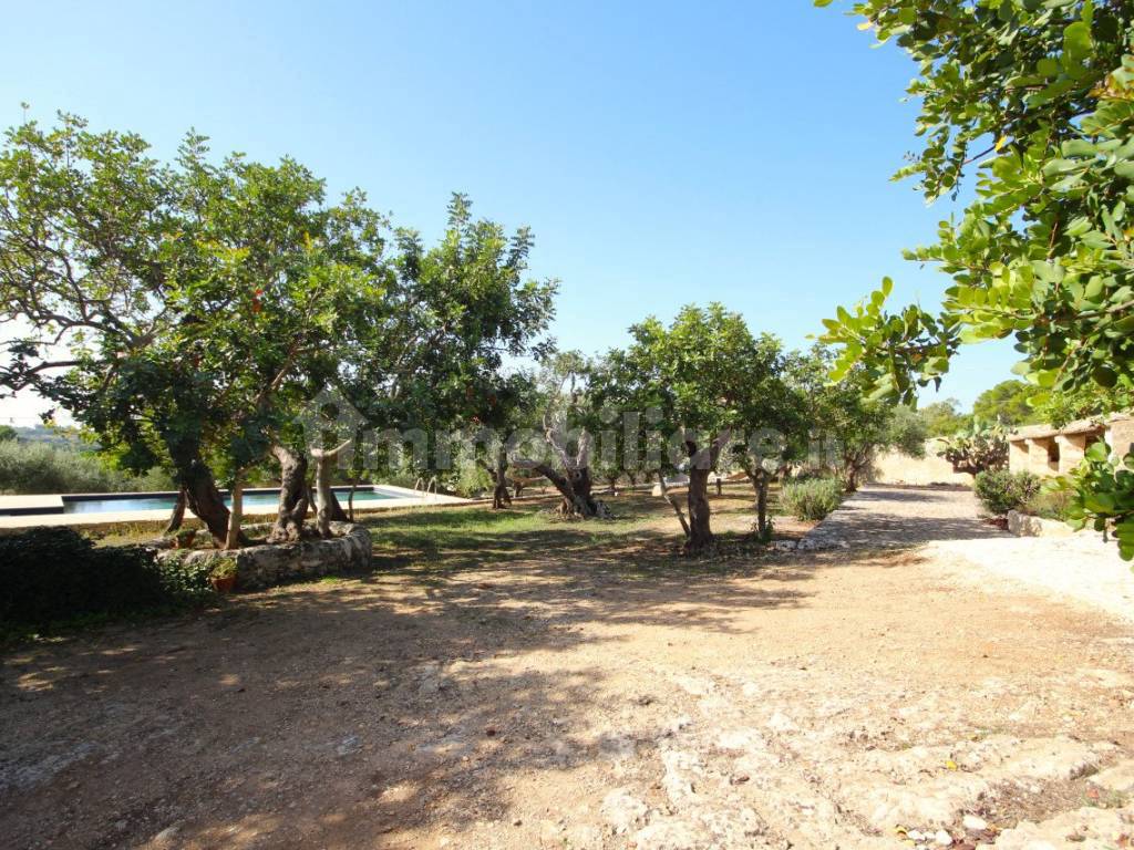 caseggiati con piscina vista mare a noto 15