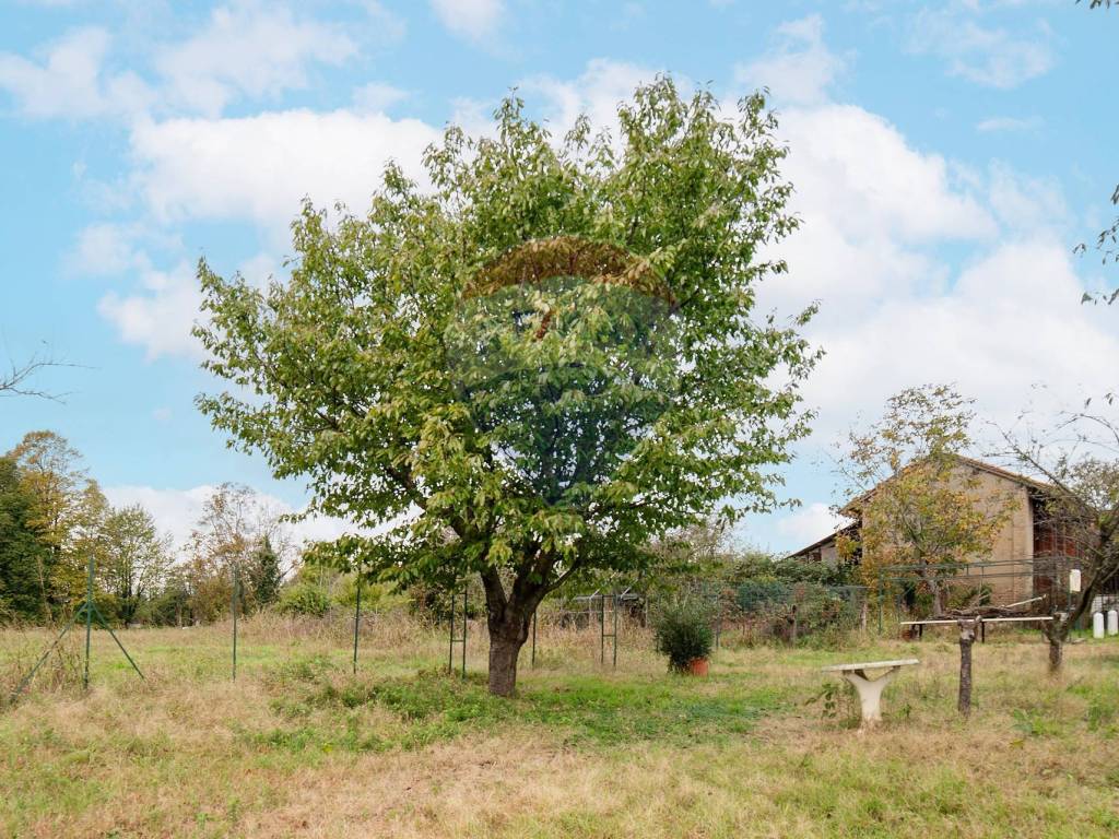 terreno agricolo