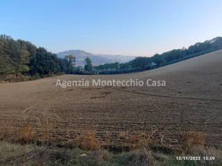 il terreno di proprietà