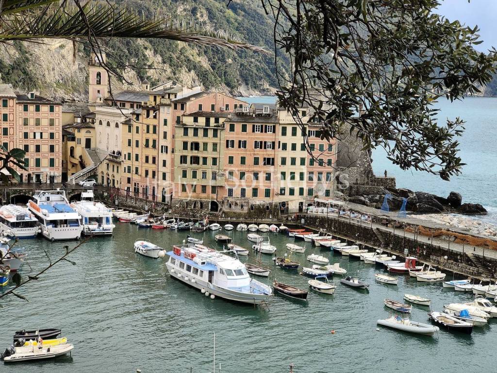 vista porto Camogli