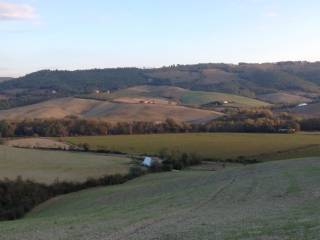 gattineto panorama