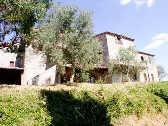 Terreno agricolo località poggi 1, ficulle