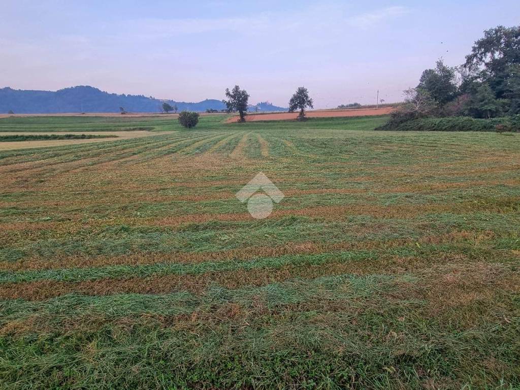 Terreno agricolo via xxv aprile, centro, missaglia