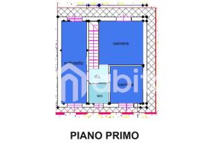 PLN COLORATA PIANO PRIMO