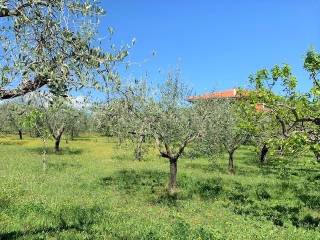 giardino/terreno