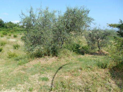 Terreno agricolo, centro, verucchio