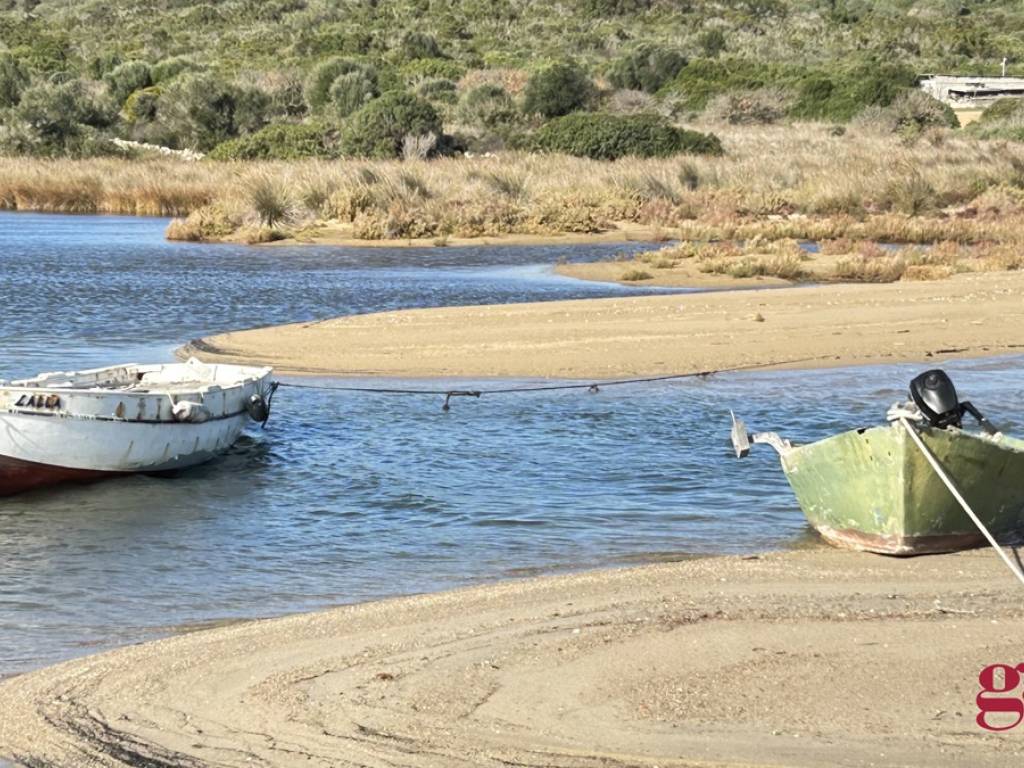 Scorci dell'ambiente.JPG