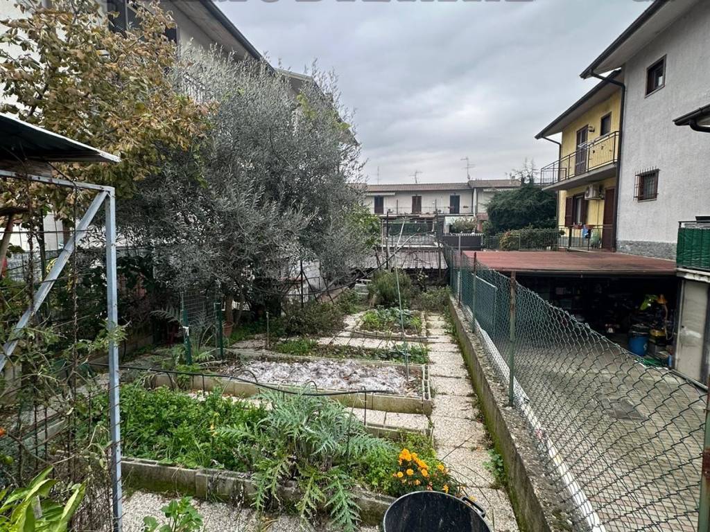 Giardino