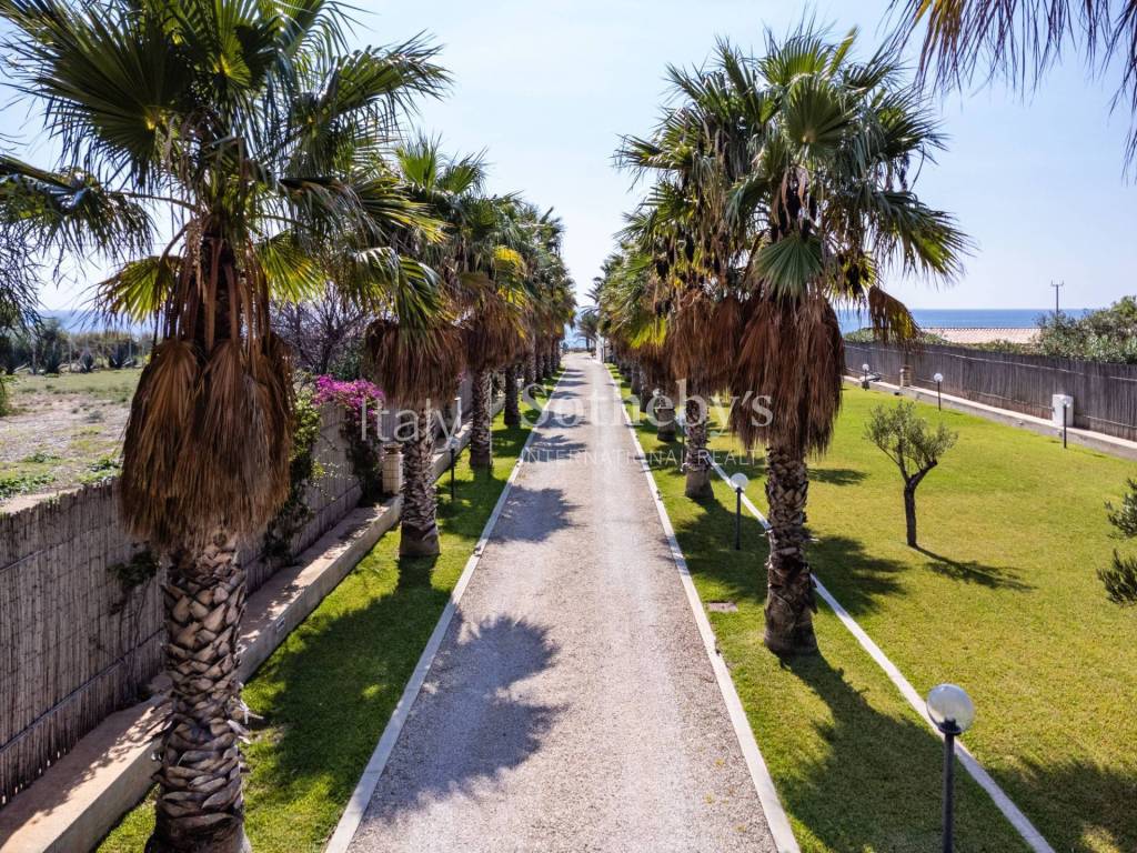 Ingresso Trionfale per Auto con Palme Mediterranee