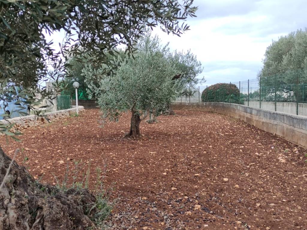 trulli-alberobello