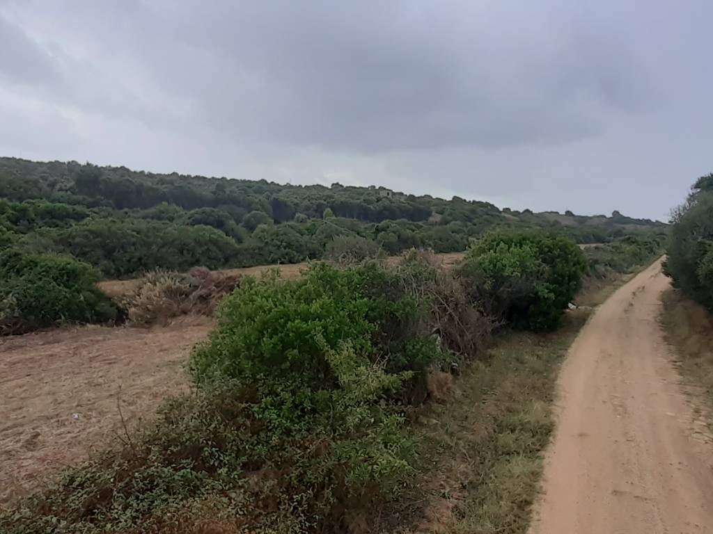 Terreno agricolo località capichera, arzachena paese, arzachena