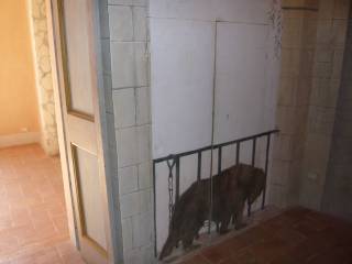 Interno appartamento