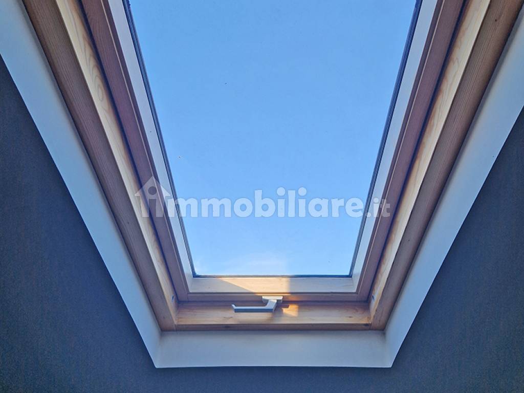 velux