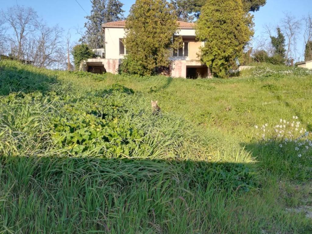 Terreno edificabile via brecciola, centro, giulianova