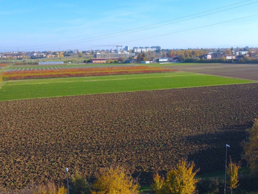 Immersa nel verde e nei vigneti