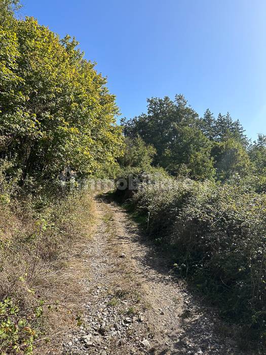 Toscana - Casale -Montieri