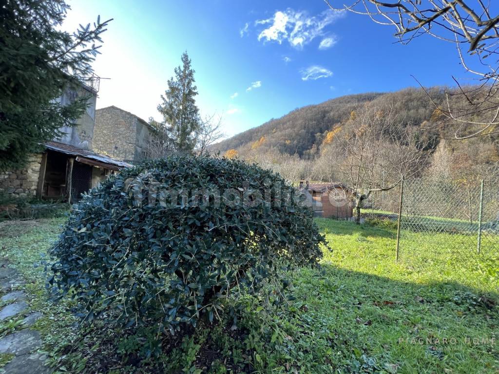 vendita-case-nel-borgo-massa-carrara-rif-ndq-85-casa-nel-borgo-hh3vxcus.JPEG