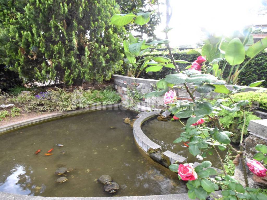 giardino e fontana