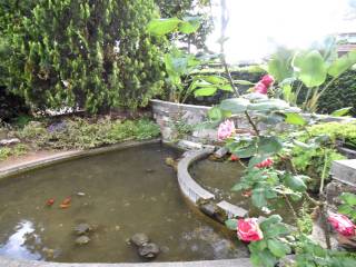 giardino e fontana