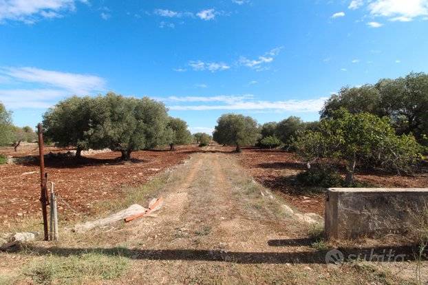 Terreno non edificabile via delle gardenie, 292, 74023 grottaglie ta, italia, villa castelli