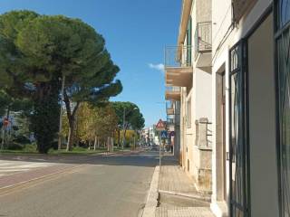 Zona