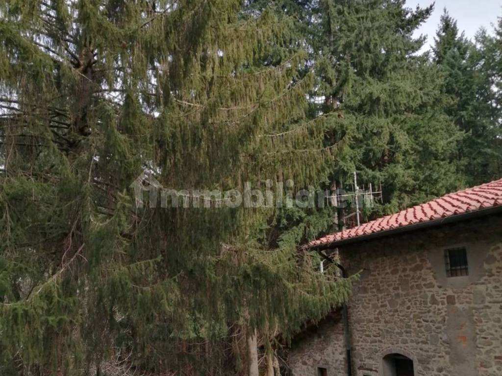 colonica in zon tranquillissima